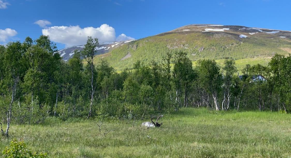 Great Villa With Amazing View Tromso Exterior photo